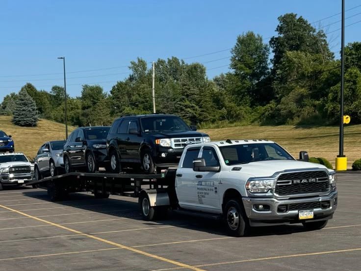 3-Car Hauler